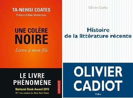Une colère noire, Histoire de la littérature récente