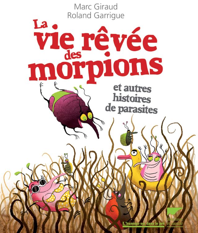 la vie rêvée des morpions