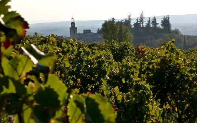 Vignes/Visan
