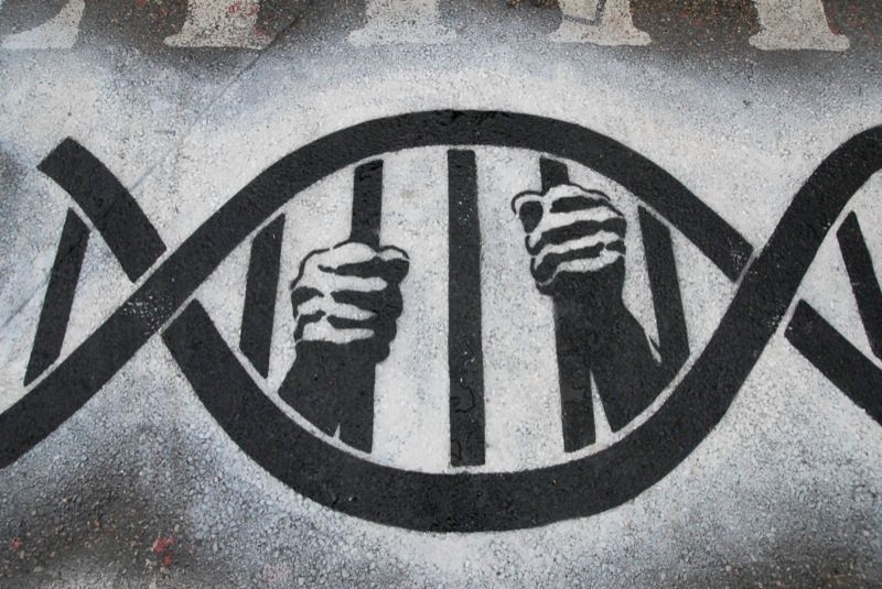 Le patrimoine génétique, une prison ?