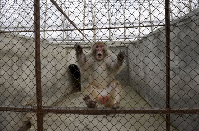 En Chine, dans la province du Henan, la semaine dernière