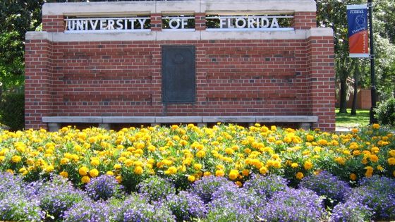 Université de Floride, qui a renoncé à "l'affirmative action", Etats-Unis - Dbenbenn