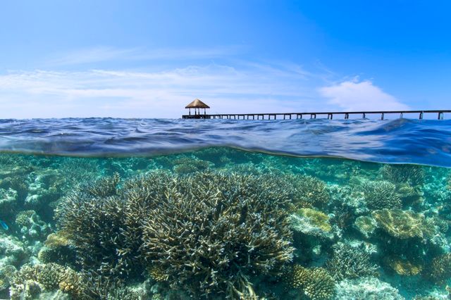 Jetée au-dessus d'une barrière de corail, Velidhu Island, Maldives