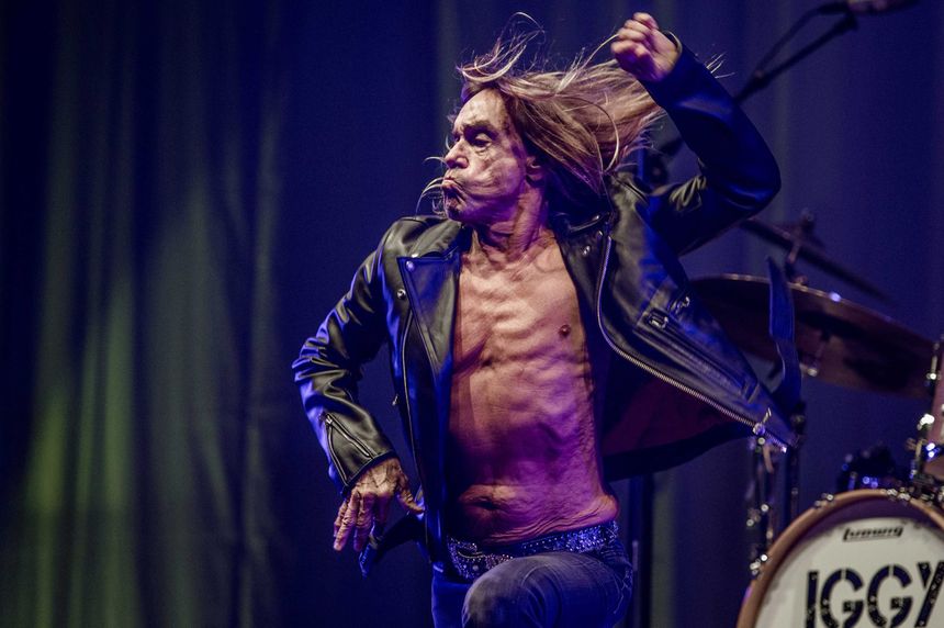 Iggy Pop, 28 juin 2015, à Beuningen aux Pays-Bas.