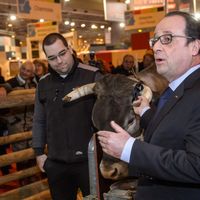 François Hollande au Salon de l'agriculture le 27 février