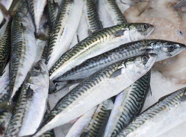 Sardines