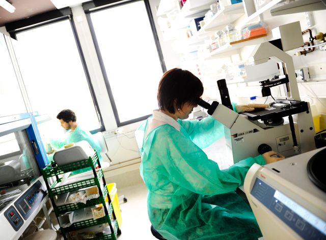 En 2011, des chercheurs de l'Institut Pasteur travaillent sur le virus du Sida