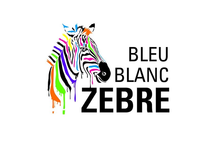 Bleu Blanc zèbre
