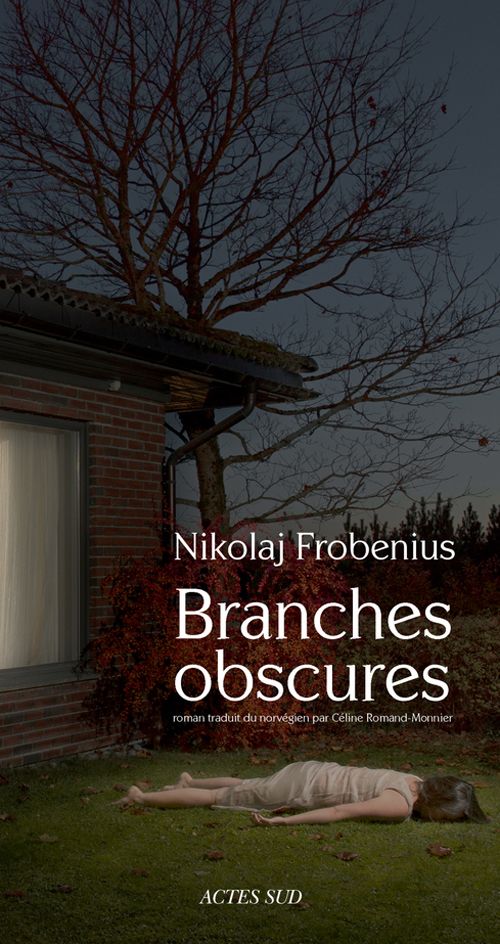 Nikolaj Frobenius, Branches obscures