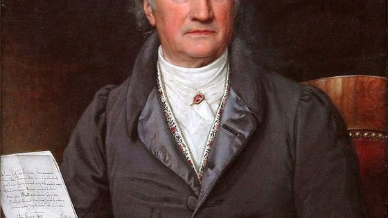 Portrait de Goethe à 79 ans - Joseph Karl Stieler