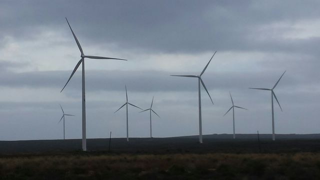 Parc d’éoliennes en Afrique du Sud.