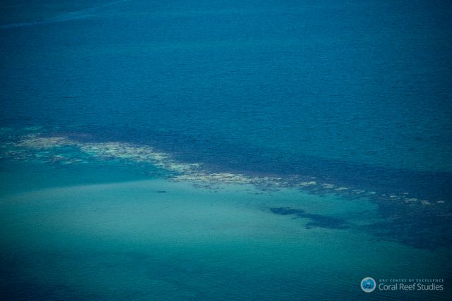 Barrière de corail en Australie