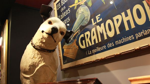 Le célèbre chien de la "Voix de son maître". (© Victor Tribot Laspière / France Musique)