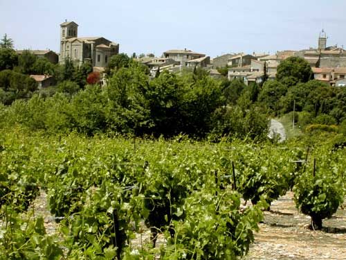 Les vignes de Saint-Christol