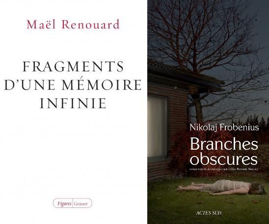 "Fragments d'une mémoire infinie" et "Branches obscures"