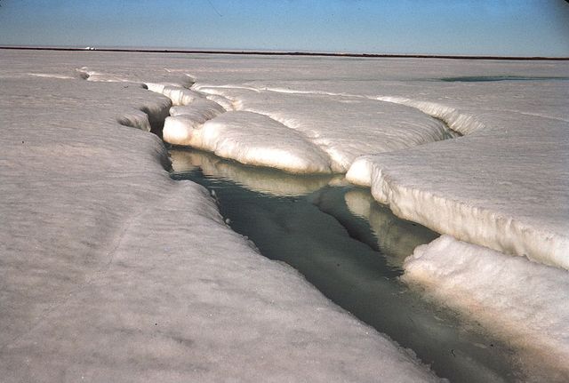 Arctique