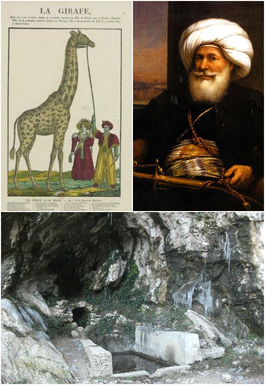 Le pacha Mehemet Ali et la fontaine de Voyre où Joseph Mery chercha la girafe