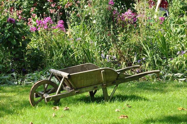 Le jardin
