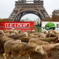 Manifestation de bergers contre la protection du loup à Paris en 2014