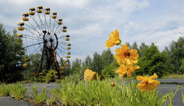 Tchernobyl, une histoire naturelle ?