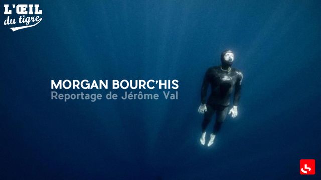 Apneiste Bourchis