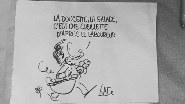 dessin Kat