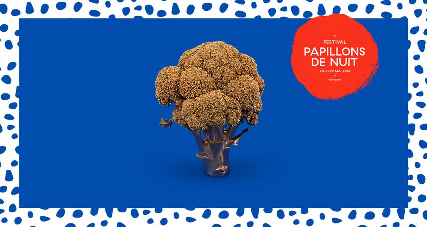 Papillons de nuit 2016