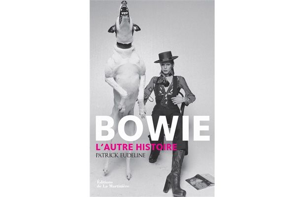 Bowie, l'autre histoire