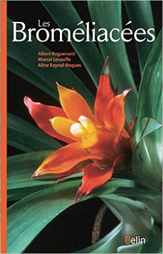 Les Bromeliacées