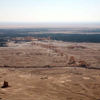 Palmyre, le désert à découvert
