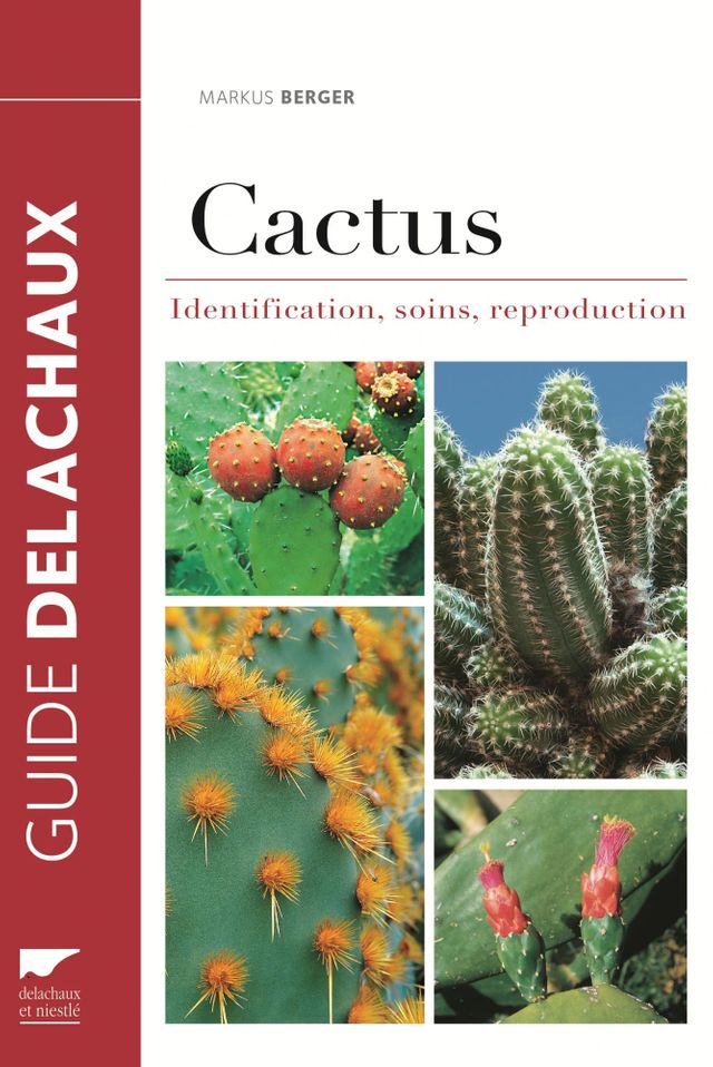 "Cactus"de Markus Berger