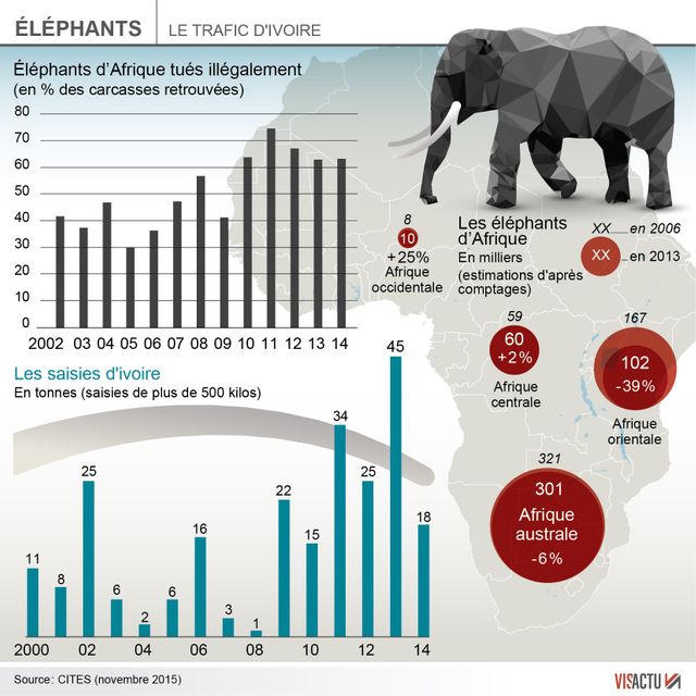 ►►►Le Kenya va brûler plus de 100 tonnes d'ivoire, un record