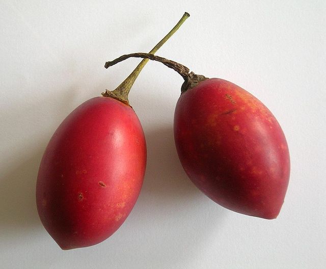 Tamarillos