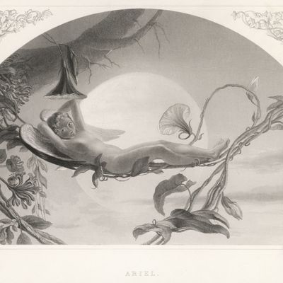 Ariel dans "La Tempête" de Shakespeare, illustration du 19ème siècle.