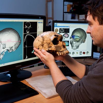 Dans le laboratoire d'Antoine Balzeau