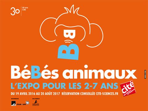 expo bébés animaux