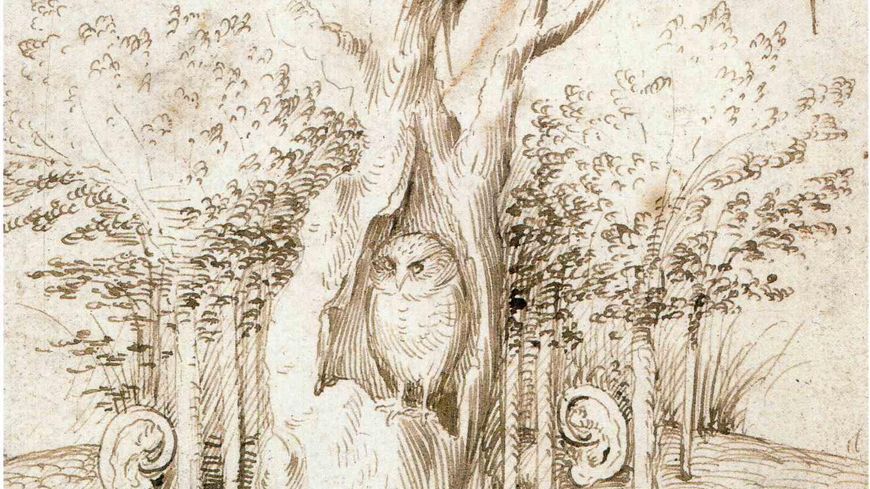 Jérôme Bosch, Le Champ a des yeux, la forêt des oreilles