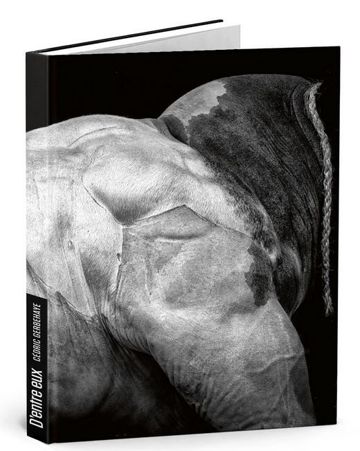 D'entre eux Cédric Gerbehaye