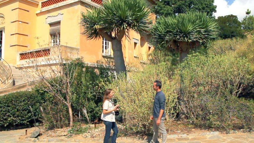 Jardins d'ici et d'ailleurs