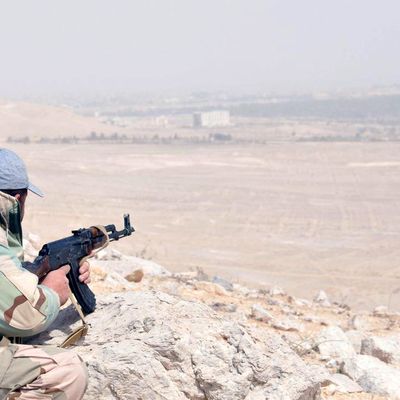 Soldat de l'armée de Bachar el Assad dans les environs de Palmyre, 24 mars 2016