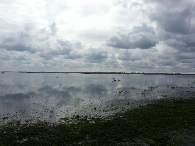 Le lac de Grand lieu