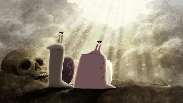 Coquille, le dessin animé de Studio 4 sur Youtube