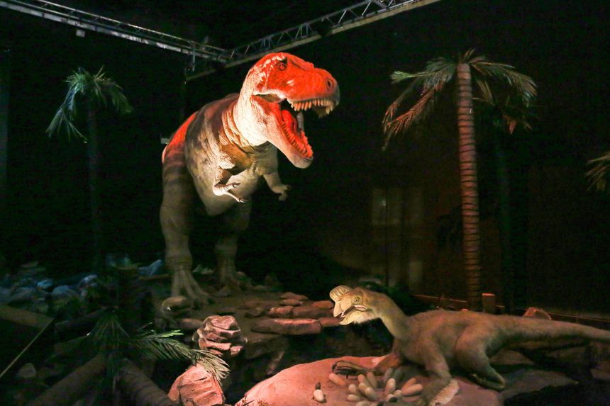 Exposition autour des dinosaures Palais de la Découverte de Paris
