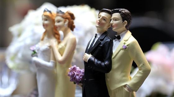 Figurines salon du mariage gay à Paris ©Reuters - Gonzalo Fuentes
