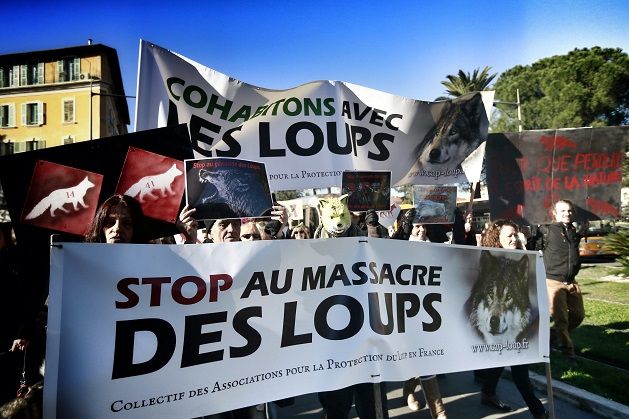 Manifestation pro-loup