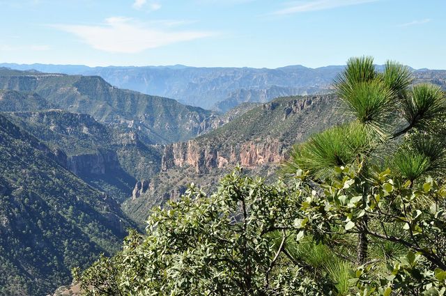 Sierra Madre / Mexique