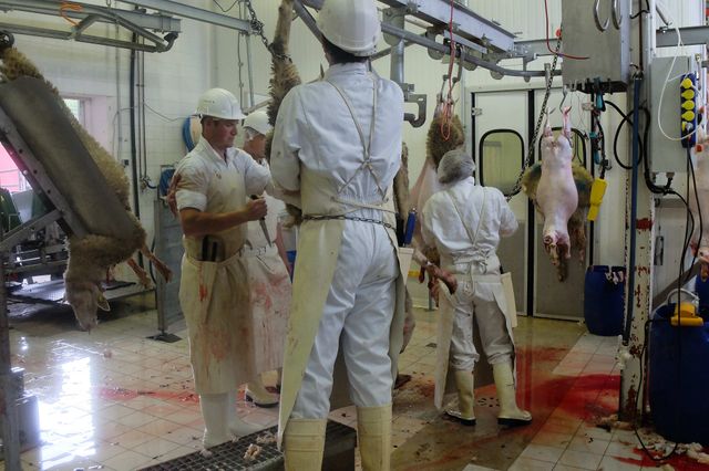 Abattoirs du Diois 10