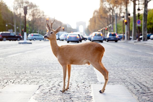 Quand l'inattendu nous dépasse