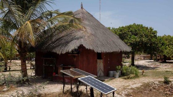 Panneaux solaires Sénégal ©Radio France - Jean-Marie Porcher