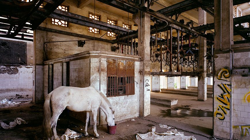 Série "Vestiges d''empires", Ancien abattoir, Casablanca, Maroc